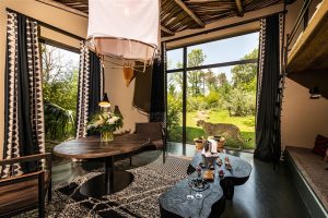 Safari Lodge – Zoo de La Flèche