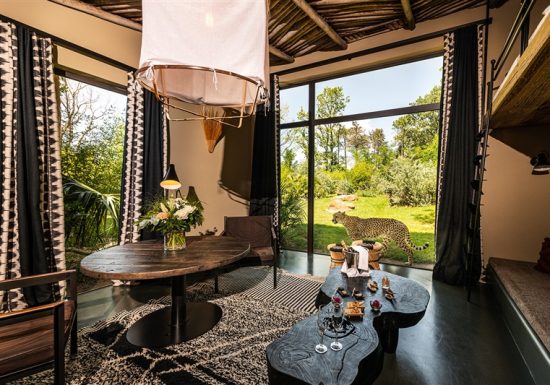 Safari Lodge – Zoo de La Flèche