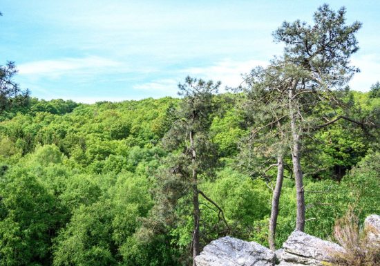 Saut du Serf & Rochebrune