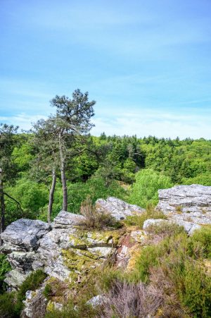Saut du Serf & Rochebrune