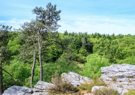 Saut du Serf & Rochebrune