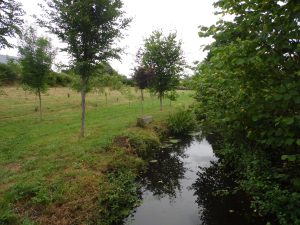 Chambres d’hôtes au Parfum des Lavandes