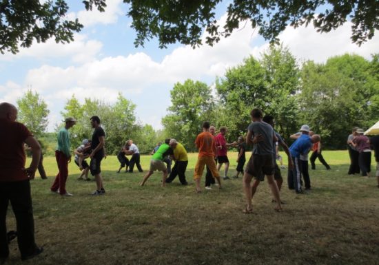 Association de Recherche en Arts Martiaux Internes en Sarthe – ARAMIS72