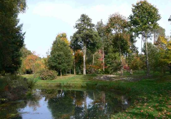 Arboretum de la Grand Prée