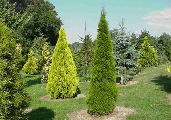 Arboretum de la Grand Prée