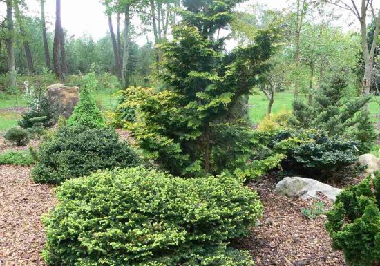 Arboretum de la Grand Prée