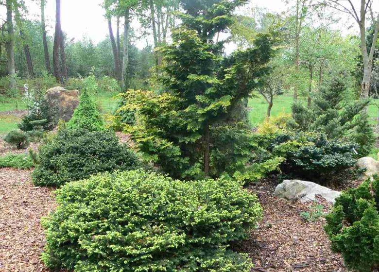 Arboretum de la Grand Prée