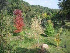 Arboretum de la Grand Prée