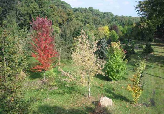 Arboretum de la Grand Prée