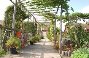 Maison de la Prairie – ferme et jardin potager