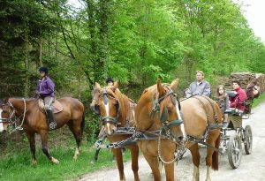 LES ATTELAGES DE LA FORET