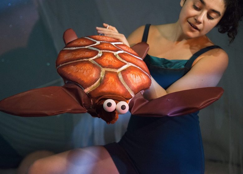 Au fond des mers : spectacle immersif sous coquillage