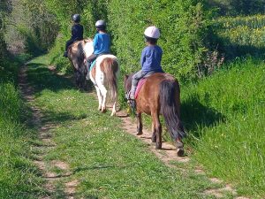 LES BRUMES PONY CLUB