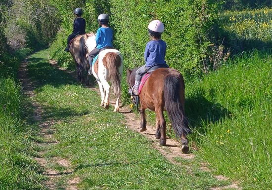 LES BRUMES PONY CLUB