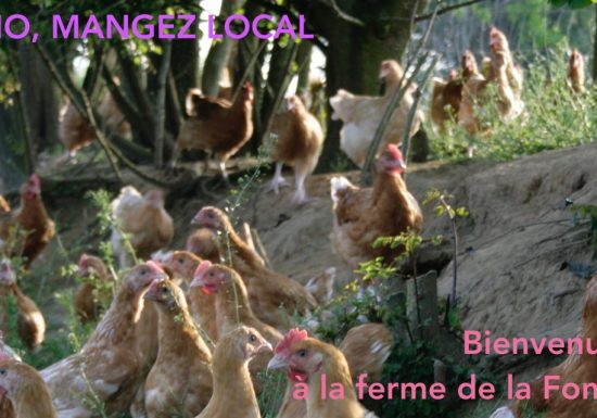 GAEC Ferme de la Fontaine du Feu