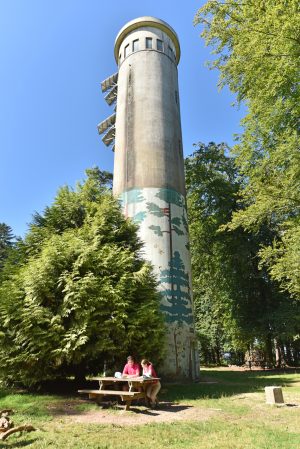 LA PETITE REINE, DES ALPES MANCELLES AU SAOSNOIS