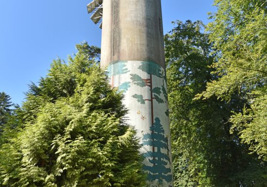 La Petite Reine, des Alpes Mancelles au Saosnois