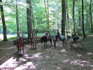 PARIGNE CHEVAL AVENTURES