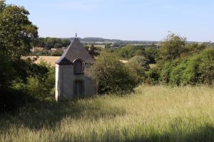 Coteau des Vignes