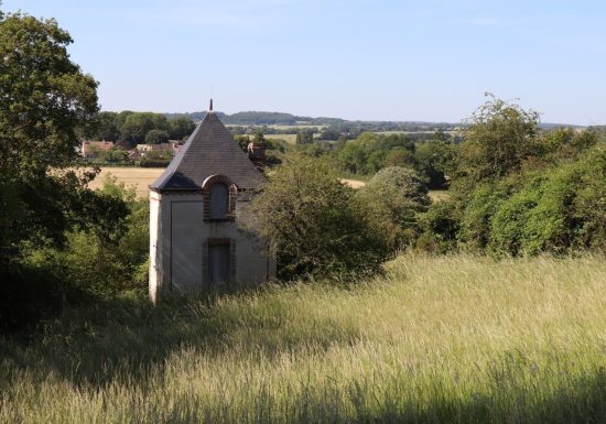 Coteau des Vignes