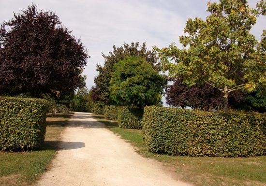 Camping municipal Le Pont d’Orne
