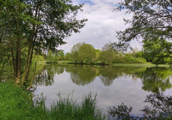 Carpodrome de Mansigné