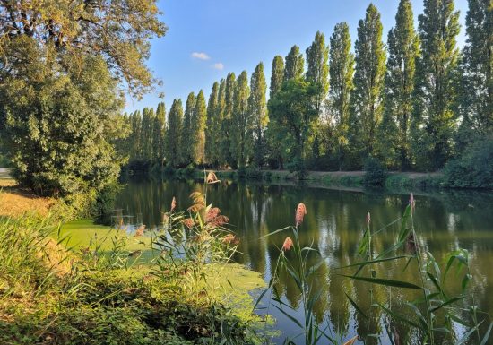 AUTOUR DU BOULEVARD NATURE : PORT DU MANS – ARNAGE, EN LONGEANT LA SARTHE, RIVE DROITE