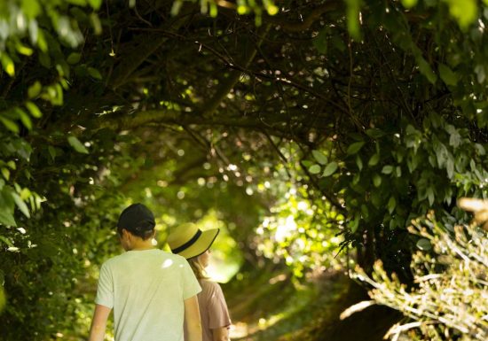 Autour du Montreteau