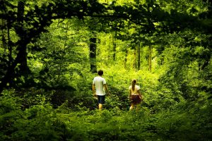 Le bois de Roussigny