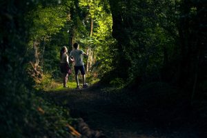 Le bois de Roussigny