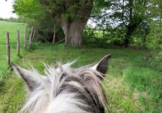 N°7 : De Malitourne à Montplaisir