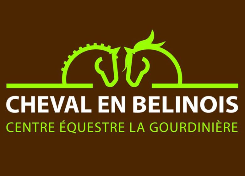 CHEVAL EN BELINOIS