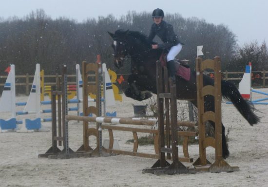 CHEVAL EN BELINOIS