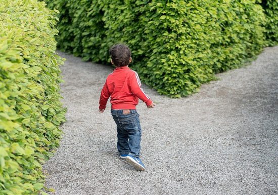 LABYRINTHE VÉGÉTAL – BONNÉTABLE