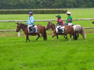 LES BRUMES PONY CLUB