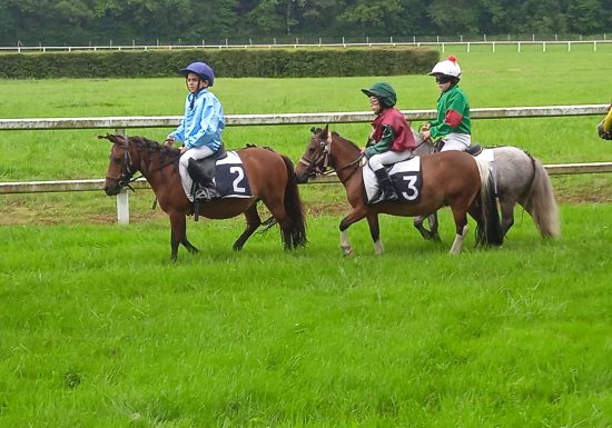 LES BRUMES PONY CLUB