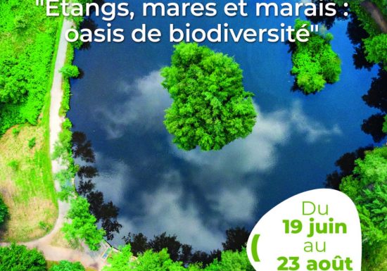 Concours photo – Arche de la Nature