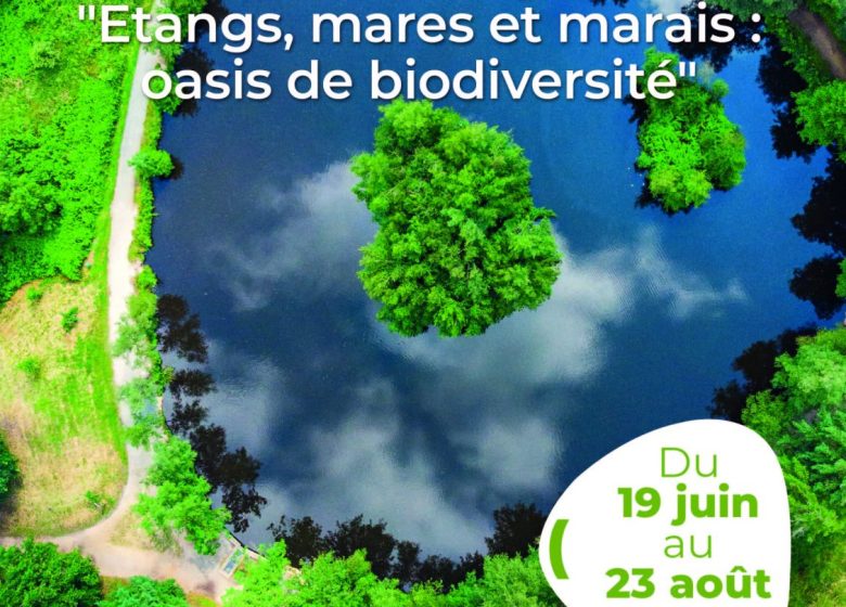 Concours photo – Arche de la Nature