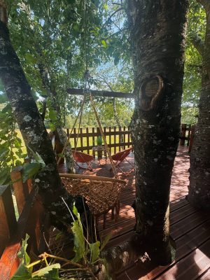 La cabane perchée