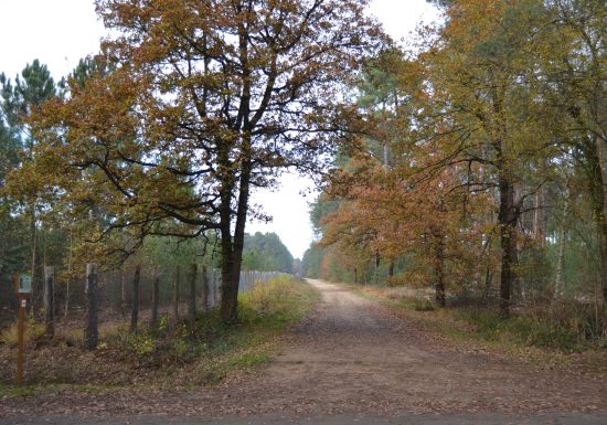 Circuit des Buttes – Laigné-Saint-Gervais – LSG4