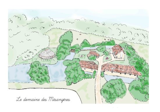 GITE LES NONNETTES DU DOMAINE DES MESANGERES