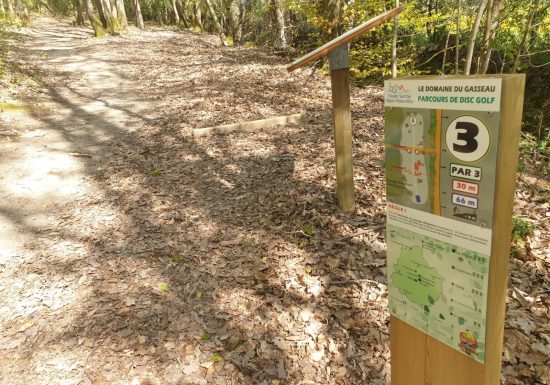 Disc-golf