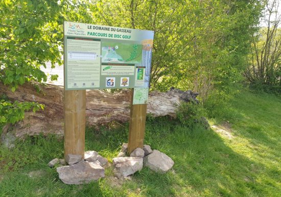 Disc-golf