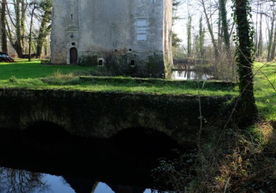 Gîte du Château des Aulnays