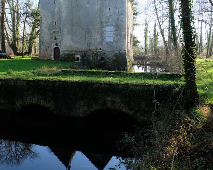 Gîte du Château des Aulnays