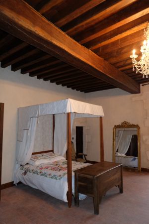 Gîte du Château des Aulnays