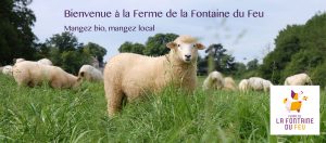 GAEC Ferme de la Fontaine du Feu