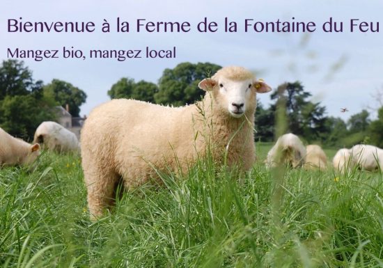 GAEC Ferme de la Fontaine du Feu