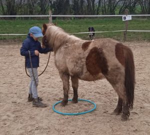 LES BRUMES PONY CLUB