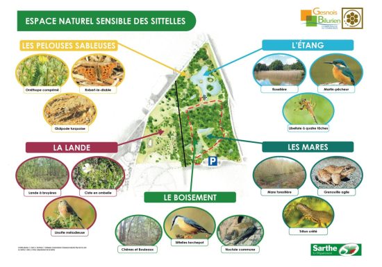 Espace Naturel Sensible des Sittelles